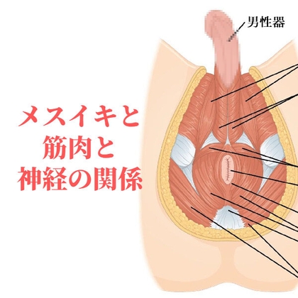 西麻布撮影所】S級筋肉男子暴発トコロテン連射2回射精限界点越え責め2段落とし!! | ゲイが選んだ男の動画