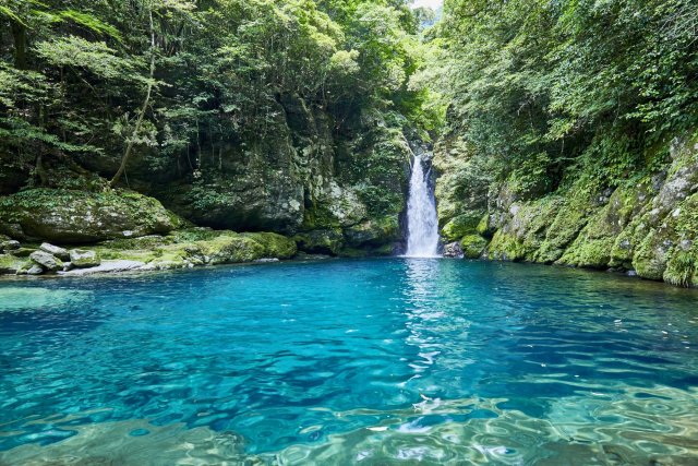 高知旅行・宿泊無期限】旅行ポイント高知県ふるなびトラベルポイント | 高知県（県庁） |