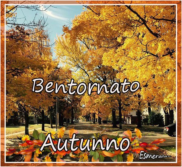 Bentornato, Alice 4