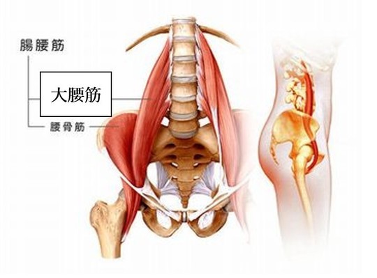 【強度調整可能】骨盤底筋トレーニング 内転筋トレーニング 産後 エクササイズ pc筋