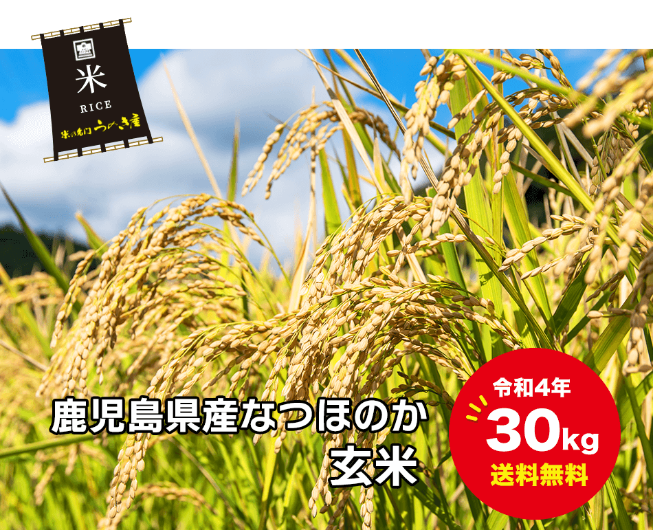 s436 《毎月数量限定》さつま町で育ったなつほのか(5kg) 鹿児島 国産 九州産