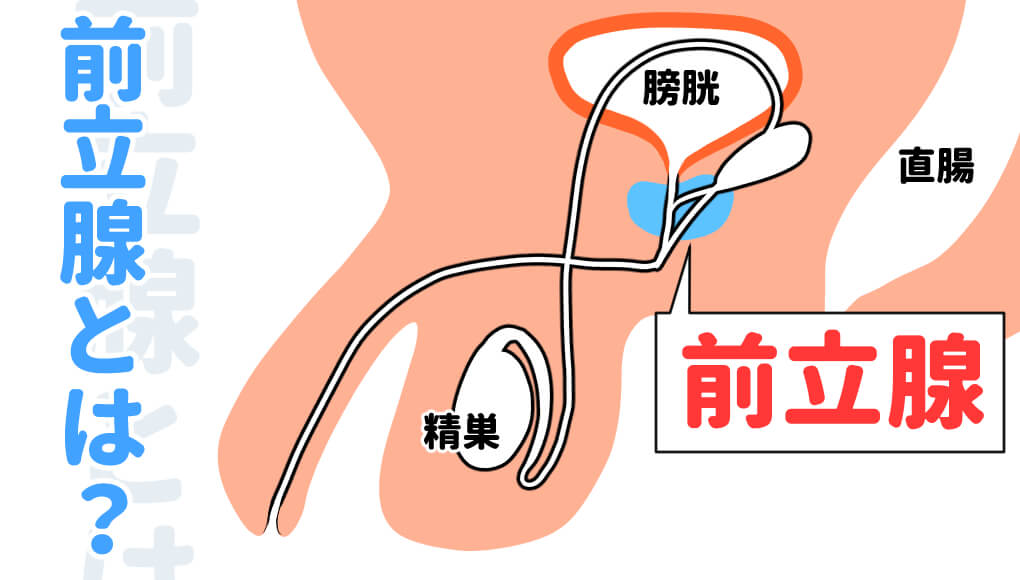 前立腺肥大や膀胱炎などの治療は名古屋市名東区のいだか台クリニックへ