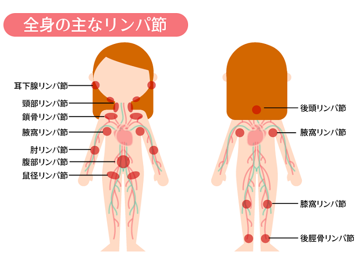 誰でもカンタン】足のむくみを解消するリンパマッサージのやり方を解説 | 癒しタイムズ