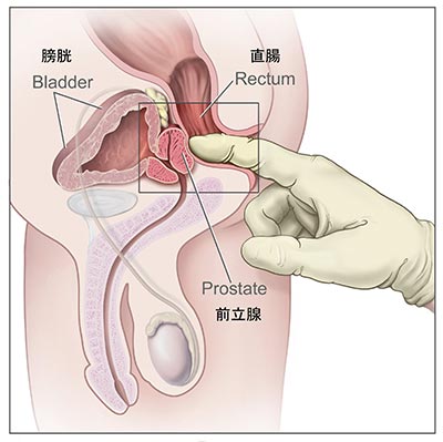 前立腺特集 奥まで届く…ッマッサージ】“ココ”を触って、シたことありません？超絶テクにイジられイカされ、もう身が持たない!!!! - まんが王国