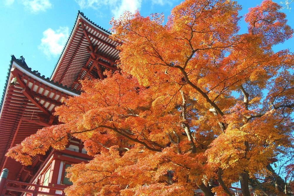 成田市の天気 - Yahoo!天気・災害