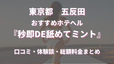 文京区の人気デリヘル店一覧｜風俗じゃぱん