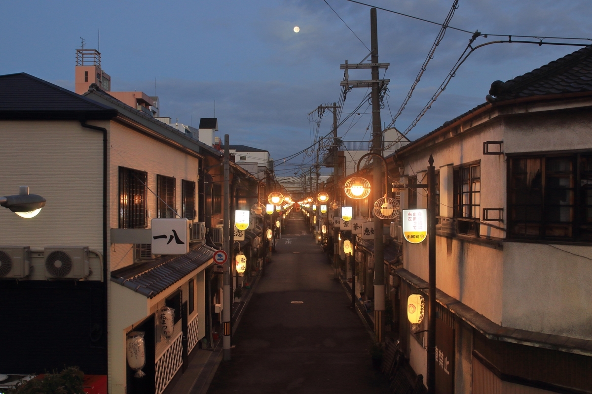 朝の飛田新地にいた2匹の猫 - 還暦のカメラ小僧・三好学生のフォトライフin大阪