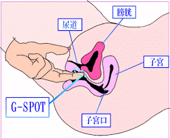 男女別に解説】最高に気持ちいいおすすめのまんこの触り方｜Cheeek [チーク]