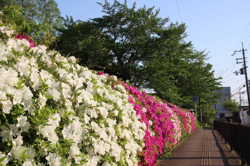 阪今池公園／ホームメイト