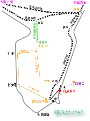 伊豆 板戸区 白浜板戸海岸の宿泊・観光 |