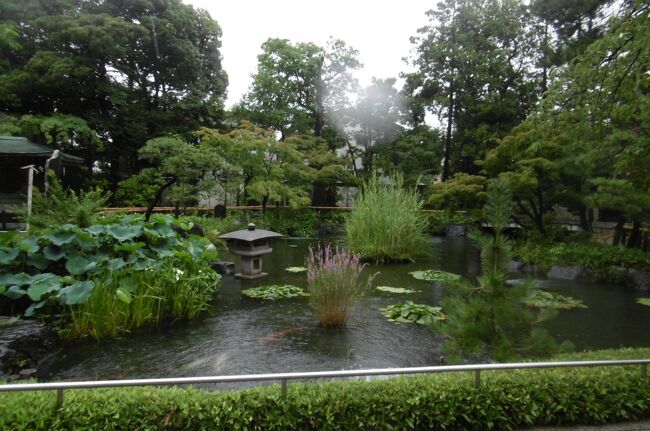 風鈴祭り』西新井・舎人・綾瀬(東京)の旅行記・ブログ by にゃんこ姫さん【フォートラベル】