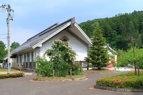 家族湯 源氏: 山鹿温泉 -