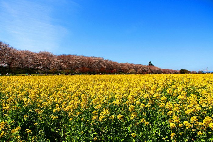 旅館あさよろず【 口コミ・宿泊予約 】-