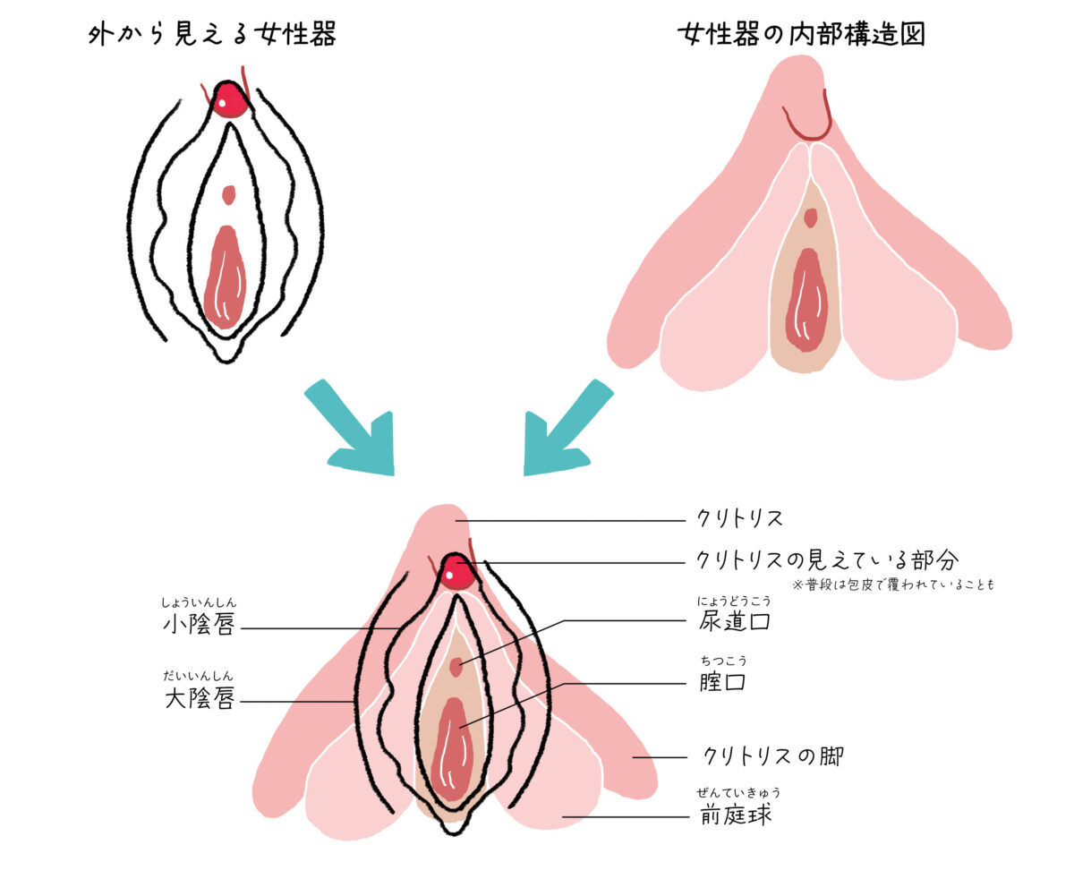 気持ちよくイクための呼吸のコツって？自分のカラダを知れば二人の幸福度はもっと高まる♡ - with class -講談社公式-