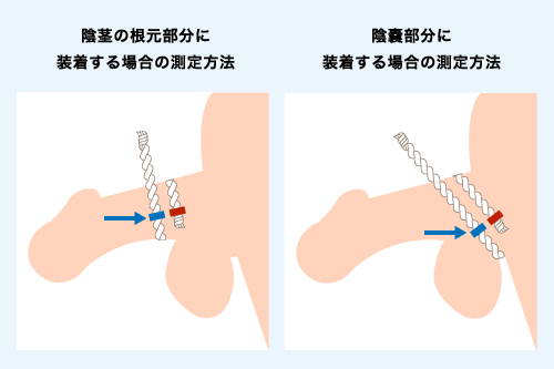 短小包茎とは！短小は何センチから？日本人の平均サイズや治療法 - アトムクリニック -