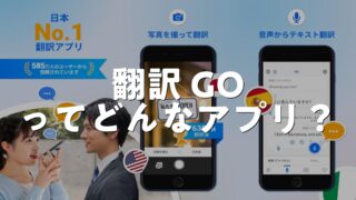 怪しい】GoToGateの評判と格安航空券の安全性を徹底レビュー！ | しがない関西OL備忘録