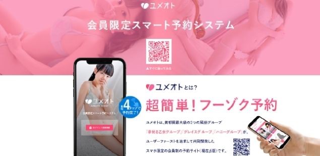 iPhoneでアダルトサイトのエロ動画を安全に観る方法！閲覧履歴や検索履歴もバレない設定方法