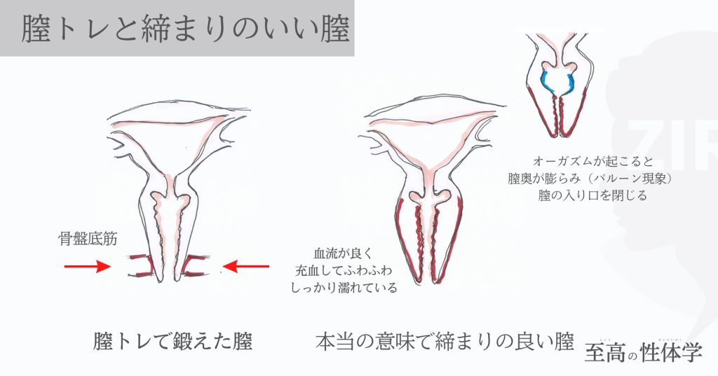 膣圧がゆるい？膣の締まりをよくする為のトレーニング方法を漫画＆動画で解説！