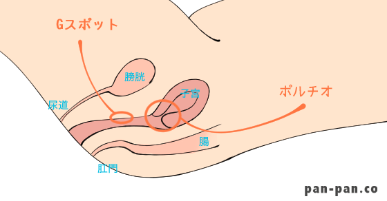 手マンで女性をエロく乱れさせる方法【本気で感じたテクだけを厳選】