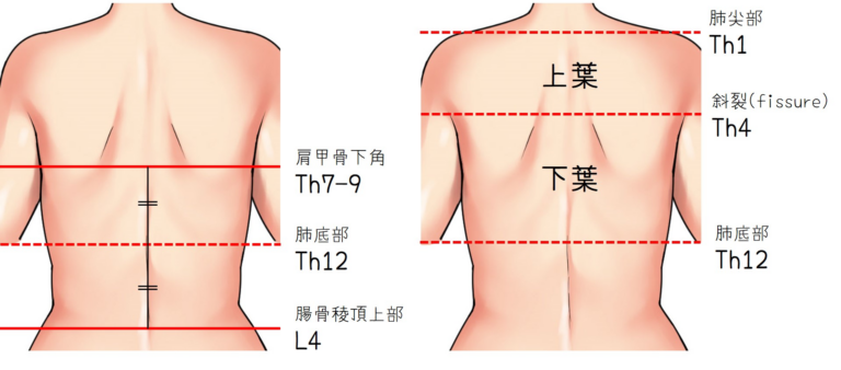 大阪の睡眠時無呼吸症候群（SAS）検査/治療 専門クリック｜ますたに呼吸器クリニック