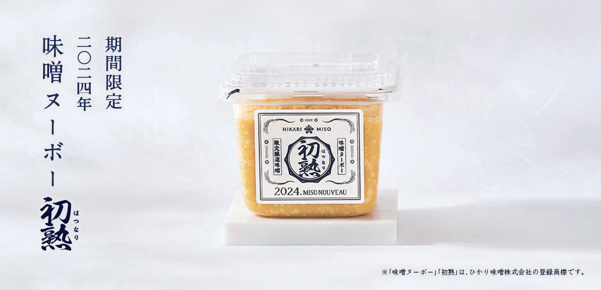 ひかり味噌 ひかり味噌 純正 信州田舎みそ 1kg×10個