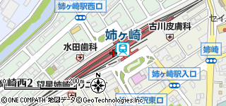 高崎駅から見た姉ヶ崎駅 « 特注家具・オーダー家具の株式会社森下