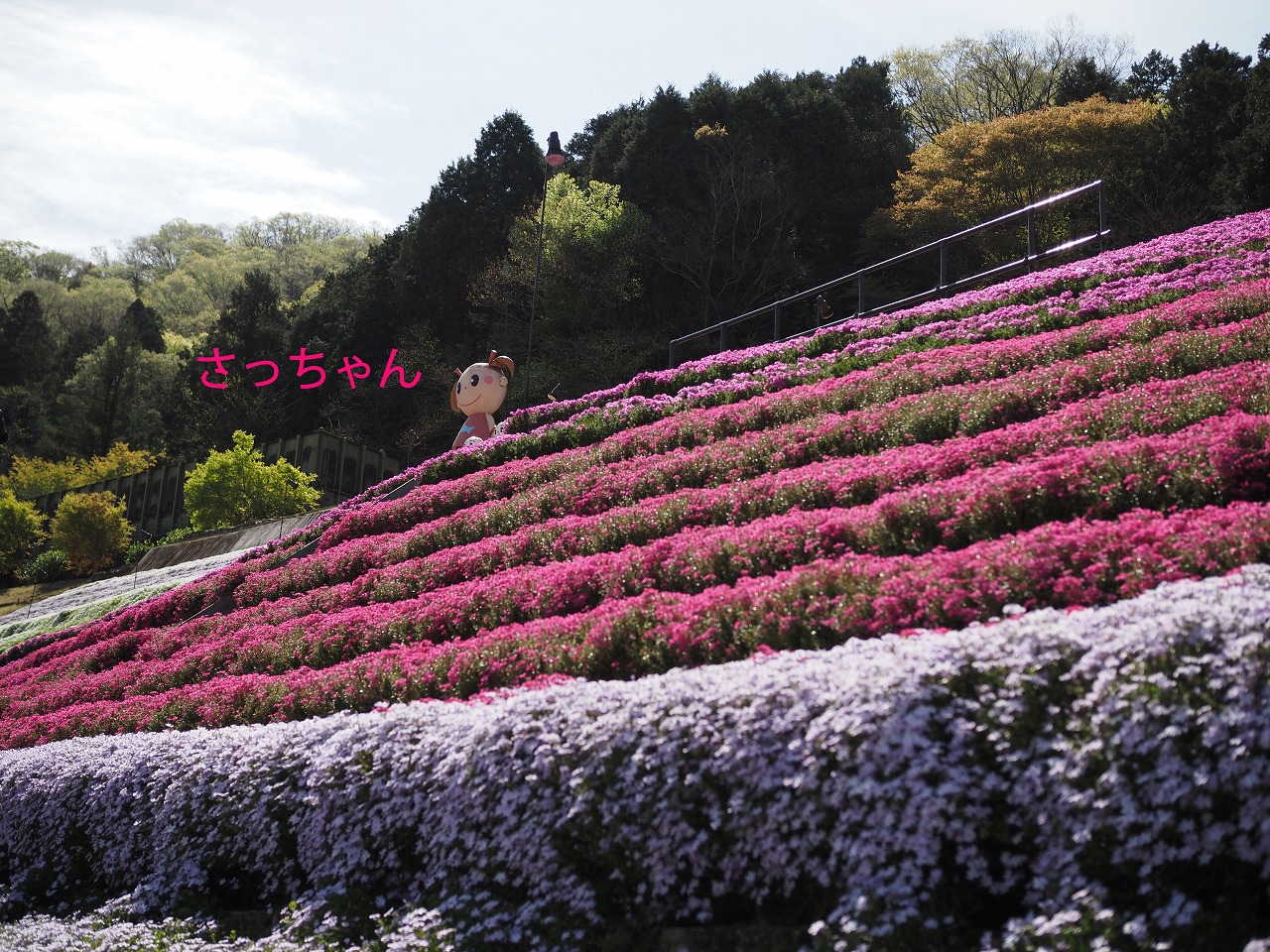 ホテルパーク(熊本県八代市)の情報・口コミ [ラブホテル 検索＆ガイド]