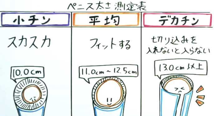 ペニスの平均的な長さと太さとは？複数の研究データによる結論 – メンズ形成外科 |