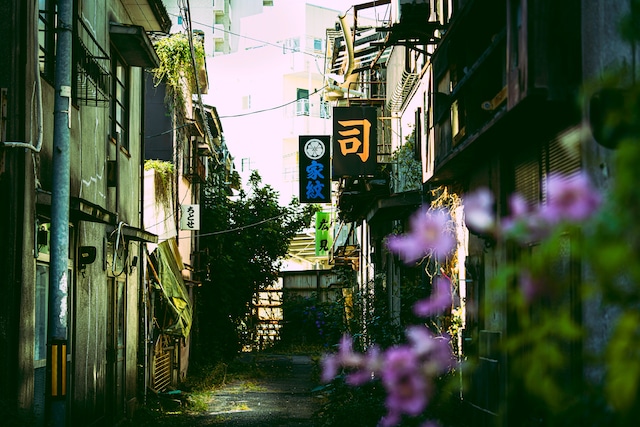 吉原 夜の裏路地ツアー: Blog＠お天気屋さん