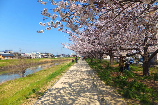 神奈川 綾瀬店 | 東京で室内練習場をお探しならSAKURAフィールドへ