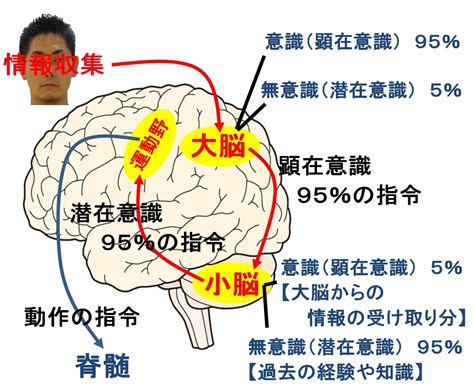 あなたの性癖の為のLoraリンク集｜にきもなか