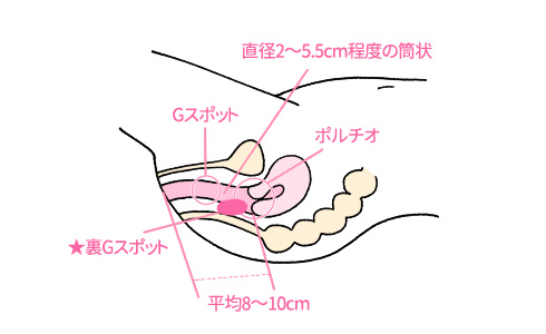 世界一わかりやすいクリトリスの触り方・愛部の方法マニュアル完全版！オナニーから好きな触り方を見抜く方法 | Men's Chinchi