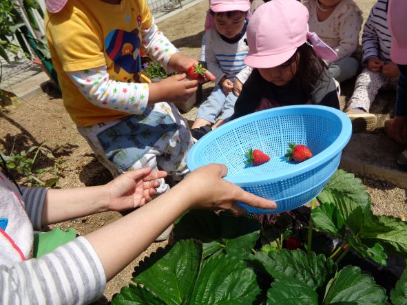 いずみ中央みのり園 | 堺土建株式会社