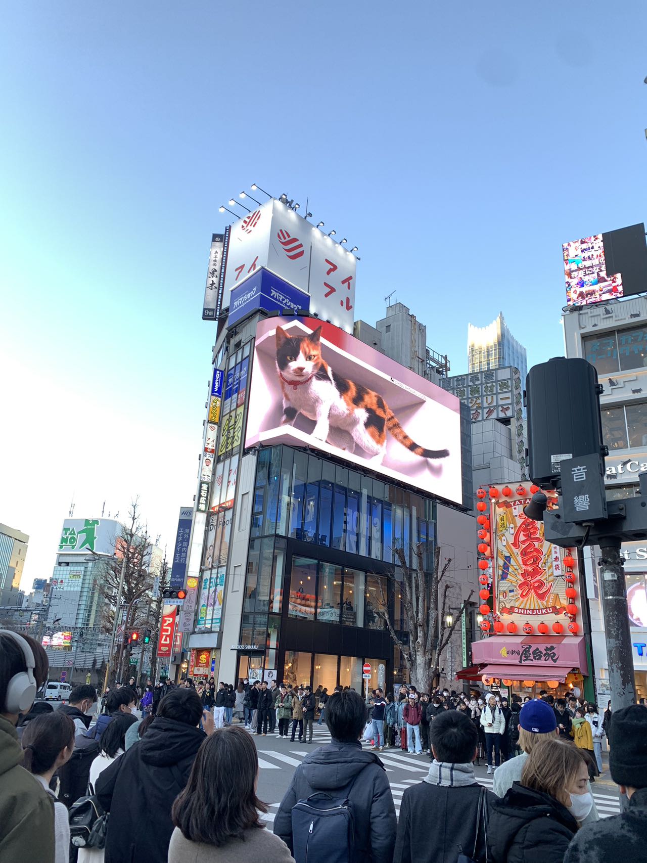 新宿】タイ古式マッサージ アジアンフィーリング アユミ