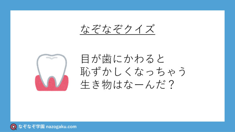 うちの子が作った問題を解いてみろ！「超難問!!こどもクイズ」｜KDDI トビラ