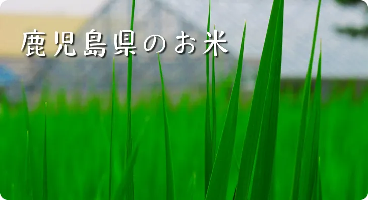 ミルキー・ドリーム保育園の保育士の求人（正社員）| 株式会社アスカ（[求人No.560669]）