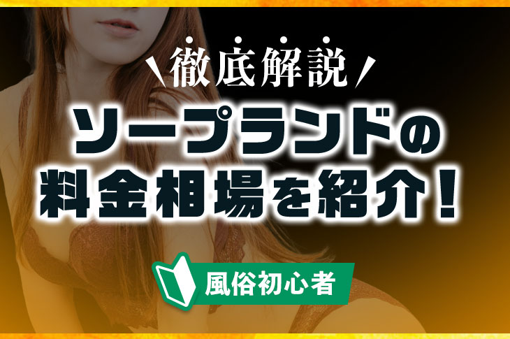 高級風俗・高級ソープおすすめ人気ランキング21選【2022年最新】