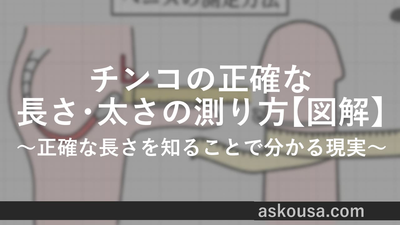 医師監修】男性器の平均サイズとは？ - 夜の保健室