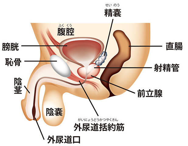 美人お姉さんの生足裏】場違いなフェロモンお姉さんのエロ足裏 | デジタルコンテンツのオープンマーケット Gcolle