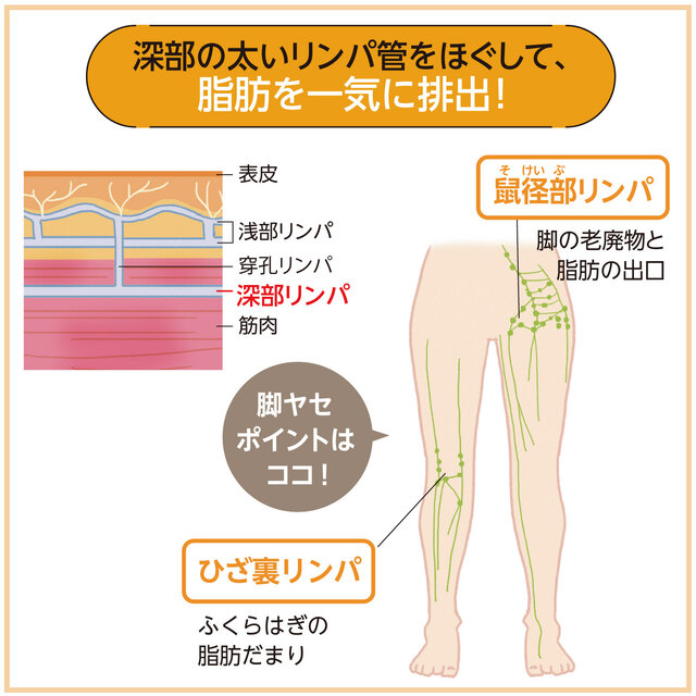 簡単にできる！全身リンパマッサージの基本のやり方と効果UPの秘訣