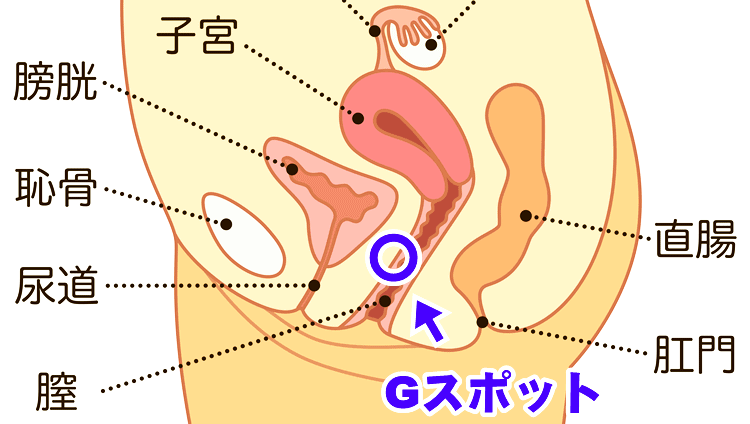 指マンテンプレート集 「田中式指マンメソッド」 |