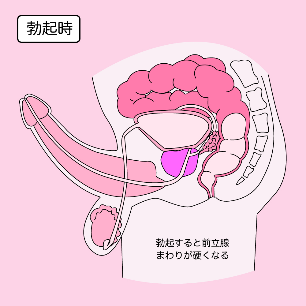 知ってるようで知らない、正しい『アナルセックス』ガイド