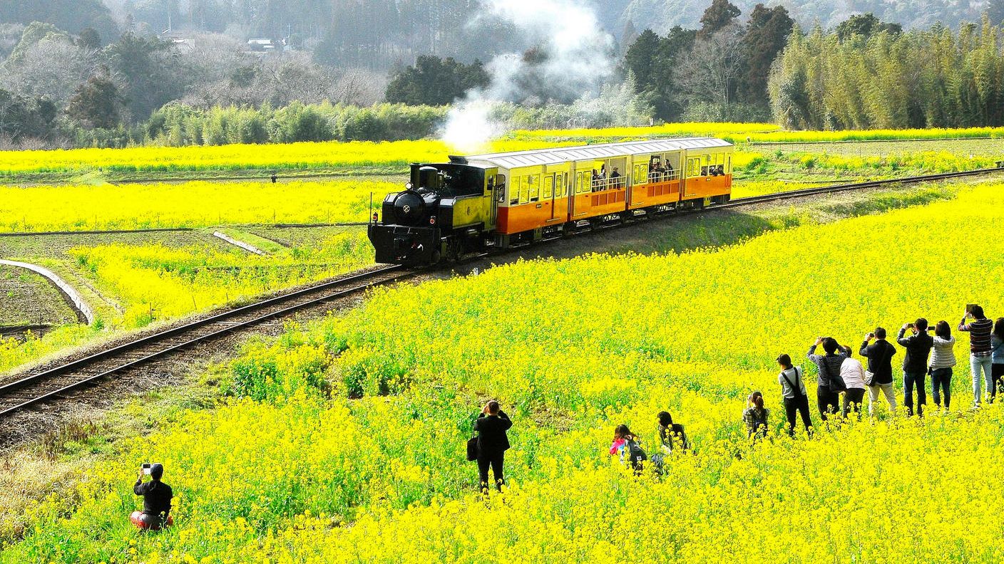 食も交通も安全が一番！小湊鐵道の想いが詰まった無添加キーマカレーをレトルトでお届け | クラウドファンディング