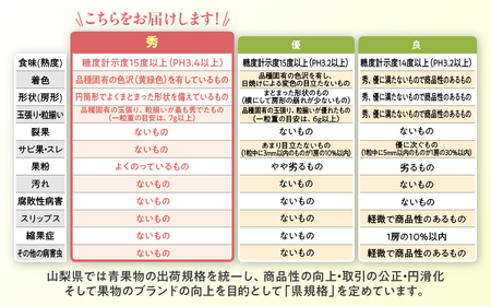 元恵比寿マスカッツ【臼井理佳】サン、AVデビュー！「臼井リカ」FALENO専属 : 今日のパトロール日誌