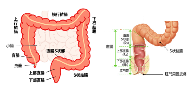 S字結腸に射精されるまでイキっぱなしな個性事故 - 同人誌