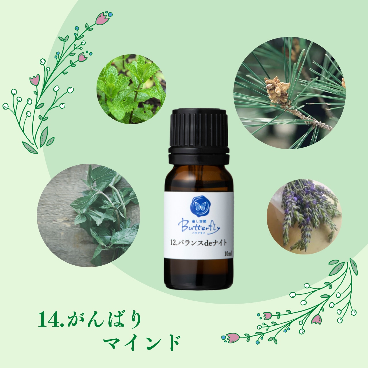 【香り:ホワイトムスク】水溶性 アロマオイル 10ml ホワイトムスク アロマデ