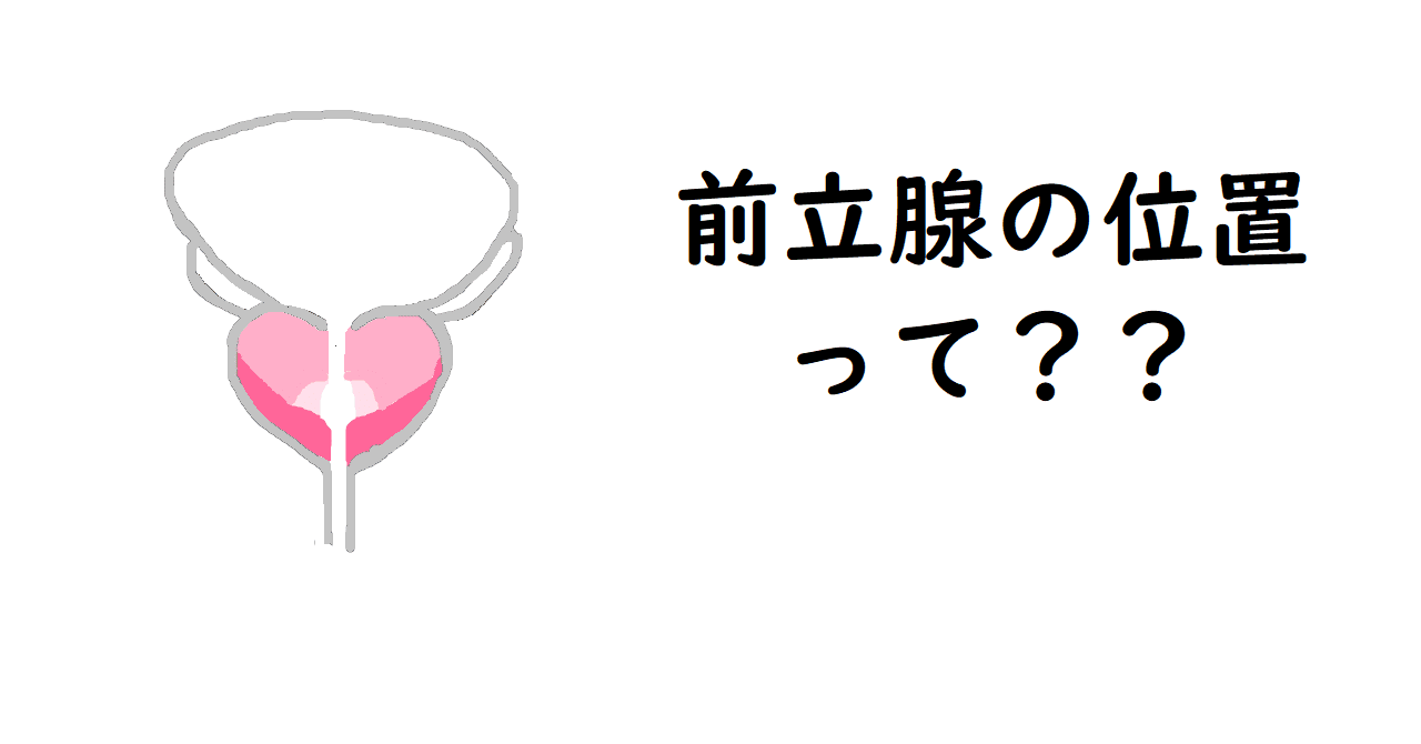 5分でわかるエネマグラの使い方！入れ方や動かし方のコツ・ポイントを解説｜駅ちか！風俗雑記帳