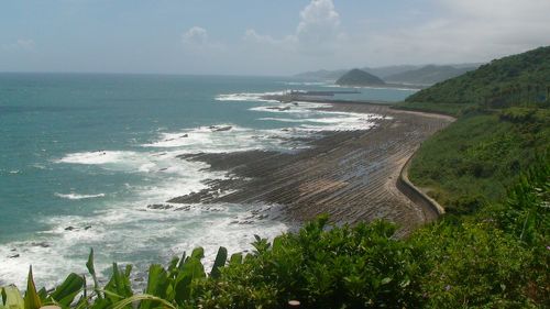 日南のかつお｜宮崎県｜全国のプライドフィッシュ｜プライドフィッシュ