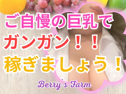 Berry's Farm (ベリーズファーム)「ここ