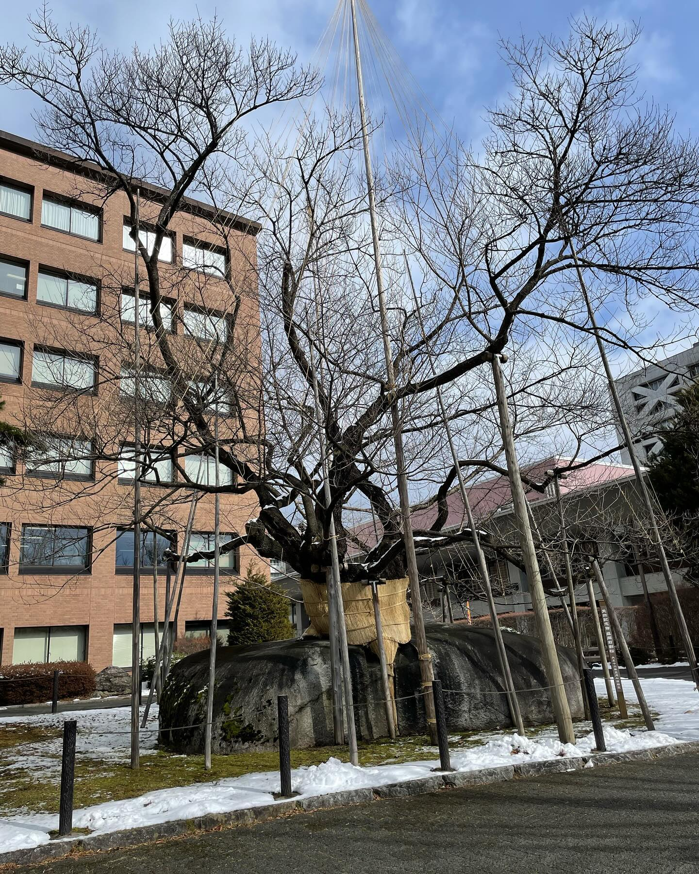 旅館あさよろず 宿泊予約【楽天トラベル】